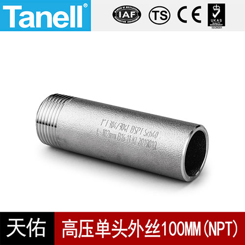 高压单头外丝100MM（NPT）-(2)